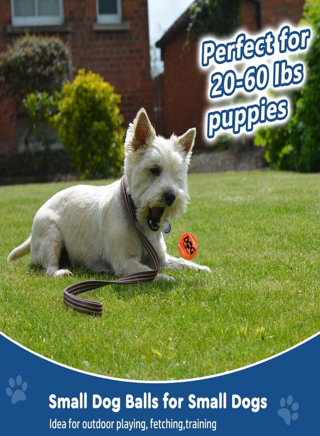 INSUM Small Tennis Balls for Dogs, 2.0'' - 6 Pack - Squeaky Dog Balls for Small Breed, Interactive Fetch & Chew Toys, Perfect for Outdoor & Indoor Play - Image 2
